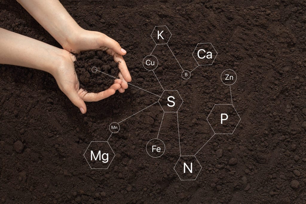 Soil Quality Prediction